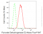 KD-Validated Anti-Pyruvate Dehydrogenase E2 Rabbit Monoclonal Antibody