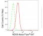 KD-Validated Anti-NIMA Related Kinase 6 Rabbit Monoclonal Antibody