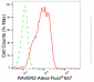 KD-Validated Anti-RAVER2 Rabbit Monoclonal Antibody