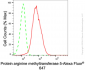 KD-Validated Anti-PRMT5 Rabbit Monoclonal Antibody