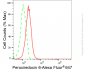 KD-Validated Anti-Peroxiredoxin 6 Rabbit Monoclonal Antibody