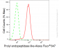 KD-Validated Anti-Prolyl Endopeptidase Like Rabbit Monoclonal Antibody