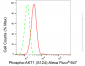KD-Validated Anti-Phospho-AKT1 (S124) Rabbit Monoclonal Antibody