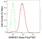 KD-Validated Anti-SAMHD1 Rabbit Monoclonal Antibody