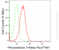 KD-Validated Anti-Peroxiredoxin 5 Rabbit Monoclonal Antibody
