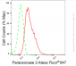 KD-Validated Anti-Paraoxonase 2 Rabbit Monoclonal Antibody