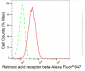KD-Validated Anti-Retinoic Acid Receptor beta Rabbit Monoclonal Antibody