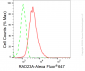 KD-Validated Anti-RAD23A Rabbit Monoclonal Antibody