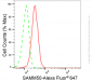 KD-Validated Anti-SAMM50 Rabbit Monoclonal Antibody