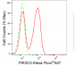 KD-Validated Anti-PIK3C3 Rabbit Monoclonal Antibody