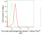 KD-Validated Anti-Pyruvate Dehydrogenase Kinase 1 Rabbit Monoclonal Antibody