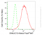 KD-Validated Anti-DNAJC12 Rabbit Monoclonal Antibody