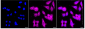 KD-Validated Anti-PPP2R5E Rabbit Monoclonal Antibody