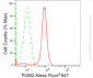 KD-Validated Anti-PUM2 Rabbit Monoclonal Antibody