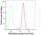 KD-Validated Anti-PRKAR2A Rabbit Monoclonal Antibody