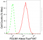 KD-Validated Anti-PDZ And LIM Domain 1 Rabbit Monoclonal Antibody