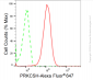 KD-Validated Anti-PRKCSH Rabbit Monoclonal Antibody