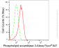 KD-Validated Anti-Phospholipid Scramblase 3 Rabbit Monoclonal Antibody