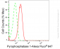 KD-Validated Anti-Inorganic Pyrophosphatase 1 Rabbit Monoclonal Antibody