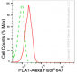 KD-Validated Anti-Pancreatic And Duodenal Homeobox 1 Rabbit Monoclonal Antibody