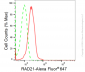 KD-Validated Anti-RAD21 Cohesin Complex Component Rabbit Monoclonal Antibody