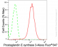 KD-Validated Anti-Prostaglandin E Synthase 3 Rabbit Monoclonal Antibody