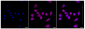 KD-Validated Anti-FOXO1 Rabbit Monoclonal Antibody
