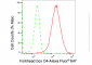 KD-Validated Anti-Forkhead box O4 Rabbit Monoclonal Antibody