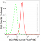 KD-Validated Anti-SCARB2 Rabbit Monoclonal Antibody