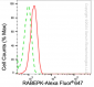KD-Validated Anti-RABEPK Rabbit Monoclonal Antibody