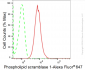 KD-Validated Anti-Phospholipid Scramblase 1 Rabbit Monoclonal Antibody