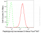 KD-Validated Anti-Peptidylprolyl Isomerase D Rabbit Monoclonal Antibody