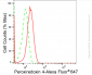 KD-Validated Anti-Peroxiredoxin 4 Rabbit Monoclonal Antibody