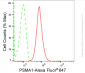 KD-Validated Anti-PSMA1 Rabbit Monoclonal Antibody