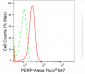 KD-Validated Anti-PERP Rabbit Monoclonal Antibody