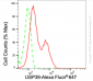 KD-Validated Anti-Ubiquitin Specific Peptidase 39 Rabbit Monoclonal Antibody