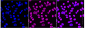 KD-Validated Anti-TAF15 Rabbit Monoclonal Antibody