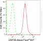 KD-Validated Anti-Ubiquitin Specific Peptidase 39 Rabbit Monoclonal Antibody