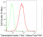 KD-Validated Anti-Transcription Factor 7 Like 1 Rabbit Monoclonal Antibody