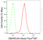 KD-Validated Anti-SMARCA4 Rabbit Monoclonal Antibody
