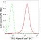 KD-Validated Anti-TRK fused gene Rabbit Monoclonal Antibody