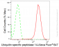 KD-Validated Anti-Ubiquitin Specific Peptidase 14 Rabbit Monoclonal Antibody