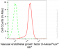 KD-Validated Anti-Vascular Endothelial Growth Factor D Rabbit Monoclonal Antibody