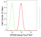 KD-Validated Anti-VPS28 Subunit Of ESCRT-I Rabbit Monoclonal Antibody