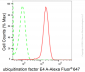 KD-Validated Anti-Ubiquitination Factor E4A Rabbit Monoclonal Antibody