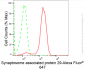 KD-Validated Anti-Synaptosome Associated Protein 29 Rabbit Monoclonal Antibody