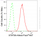 KD-Validated Anti-STAT5A Rabbit Monoclonal Antibody