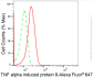 KD-Validated Anti-TNF Alpha Induced Protein 8 Rabbit Monoclonal Antibody