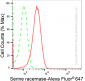 KD-Validated Anti-Serine Racemase Rabbit Monoclonal Antibody