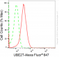 KD-Validated Anti-UBE2T Rabbit Monoclonal Antibody